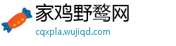 家鸡野鹜网